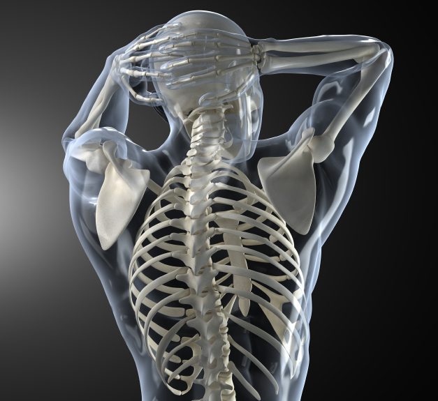 5 Ways to Boost Your Musculoskeletal Health
