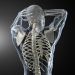 5 Ways to Boost Your Musculoskeletal Health